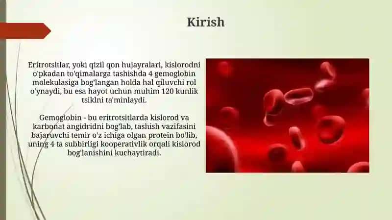 Eritsotsitlarturlari,funksiyasi.Gemoglabinvauningturlari 3