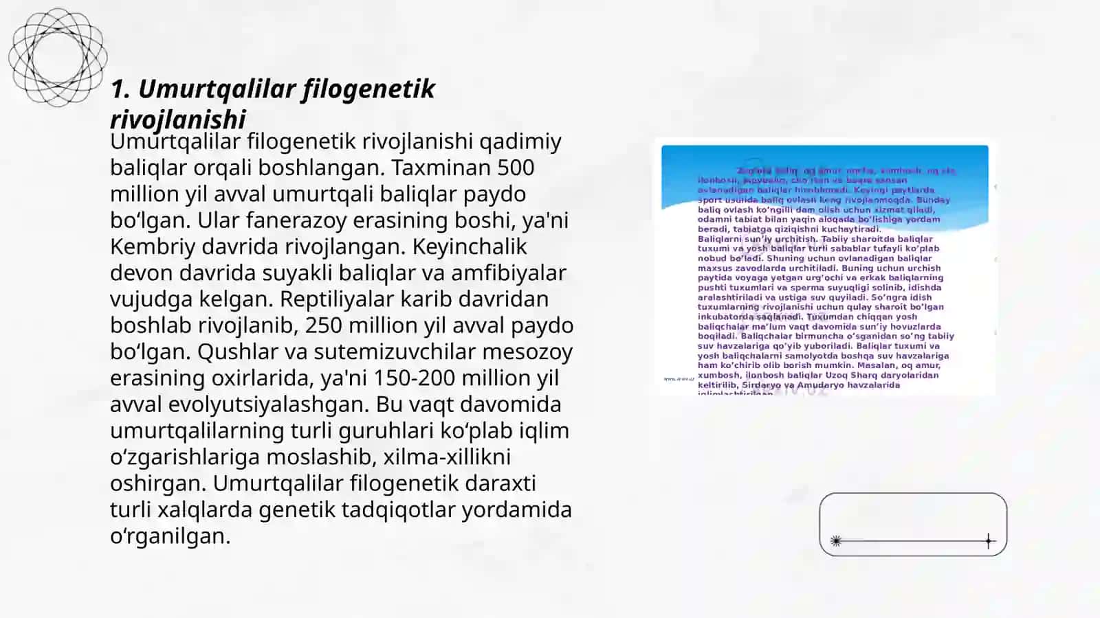 Umurtqalilarning koʻpayishi va rivojlanishi 3