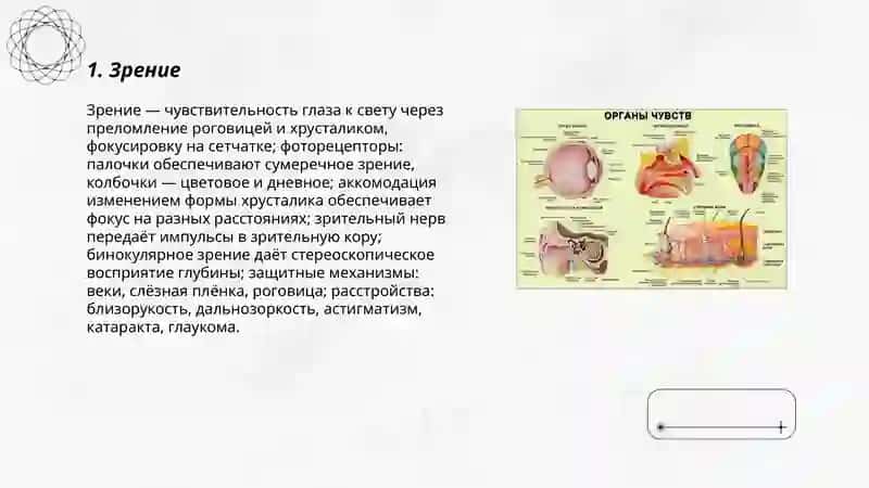 Органы чувств 3