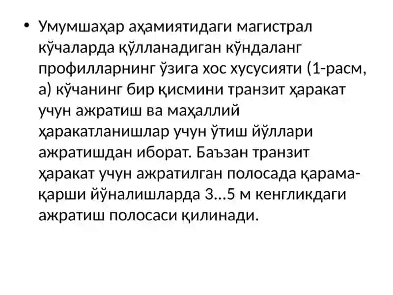 Шахар кўчалари ва йўллари элементлари 3