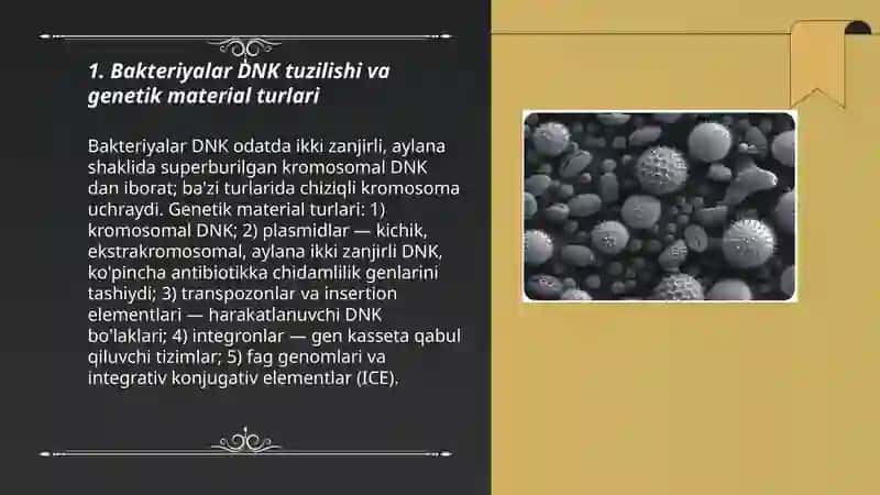 Bakteriyalarning genetikasini o'rganish 3
