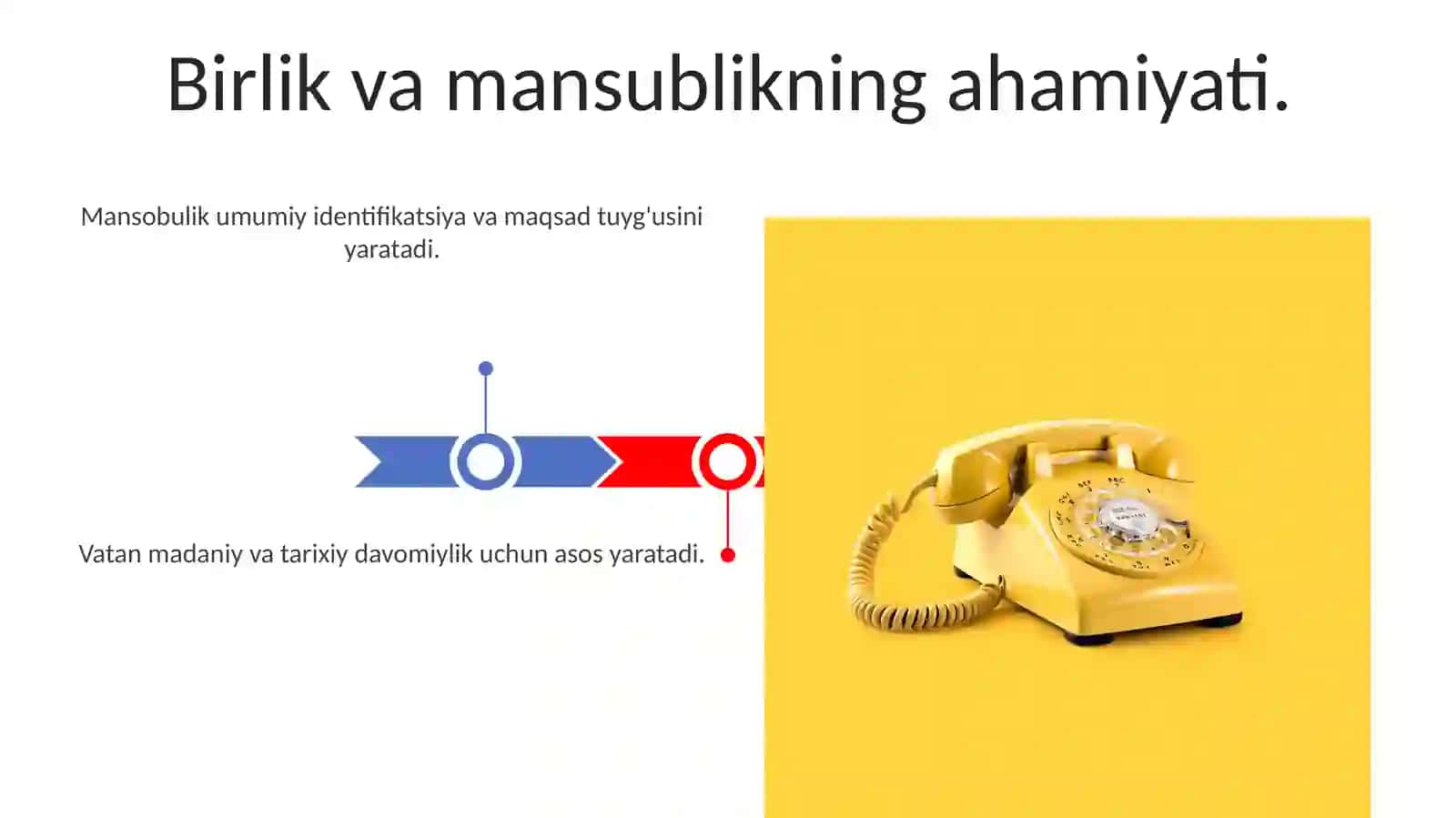Vatan yagona 3