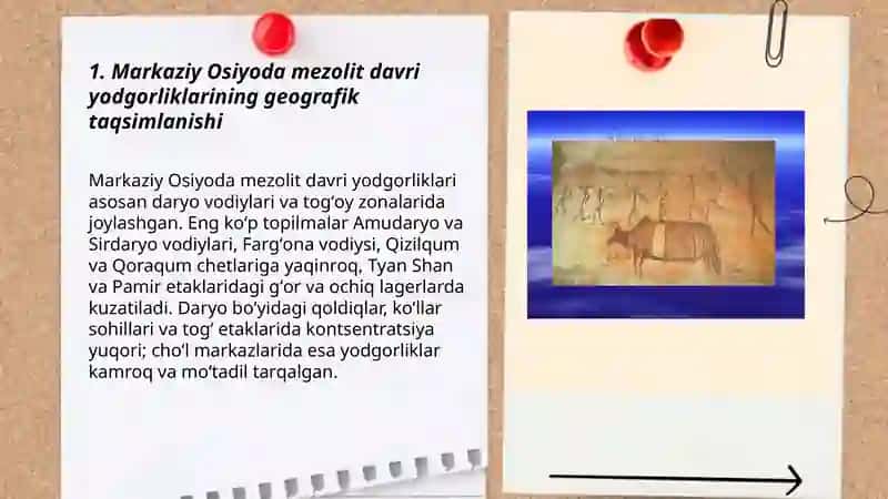 Markaziy Osiyoning mezolit davri yodgorliklari 3