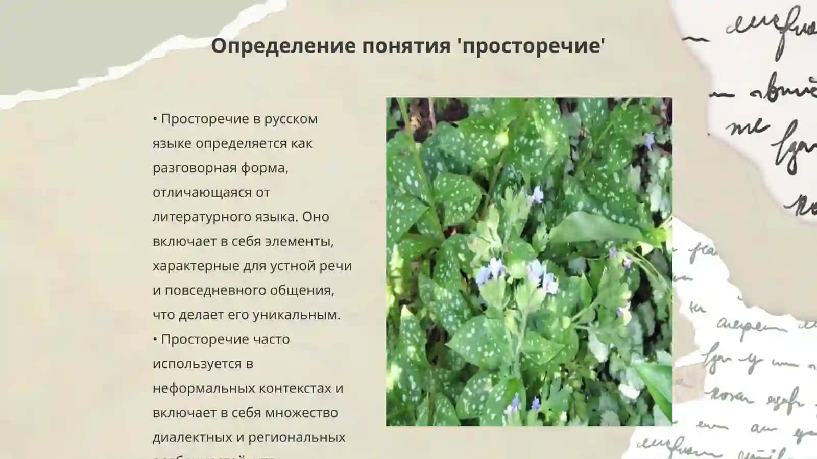 Просторечие как "наиболее своеобразная подсистема русского национального языка" 3