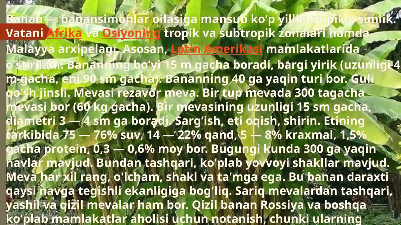 Banano o'simligi biologiyasi 3