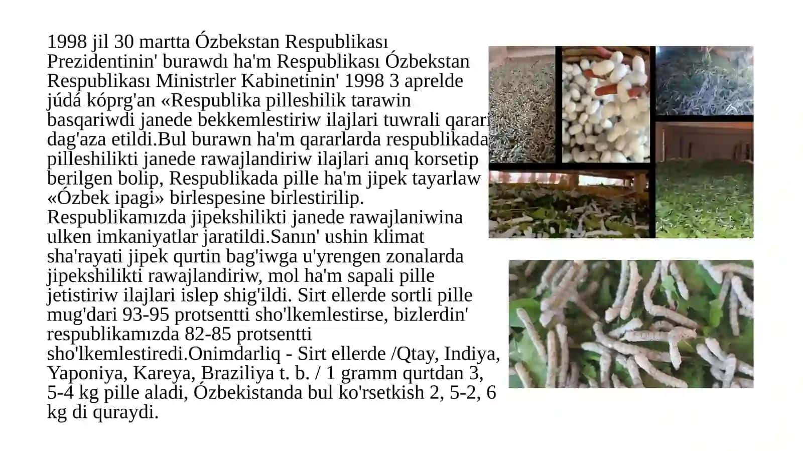 Hawa ızǵarlıǵınıń jipak qurtın rawajlanıwına tásiri 3