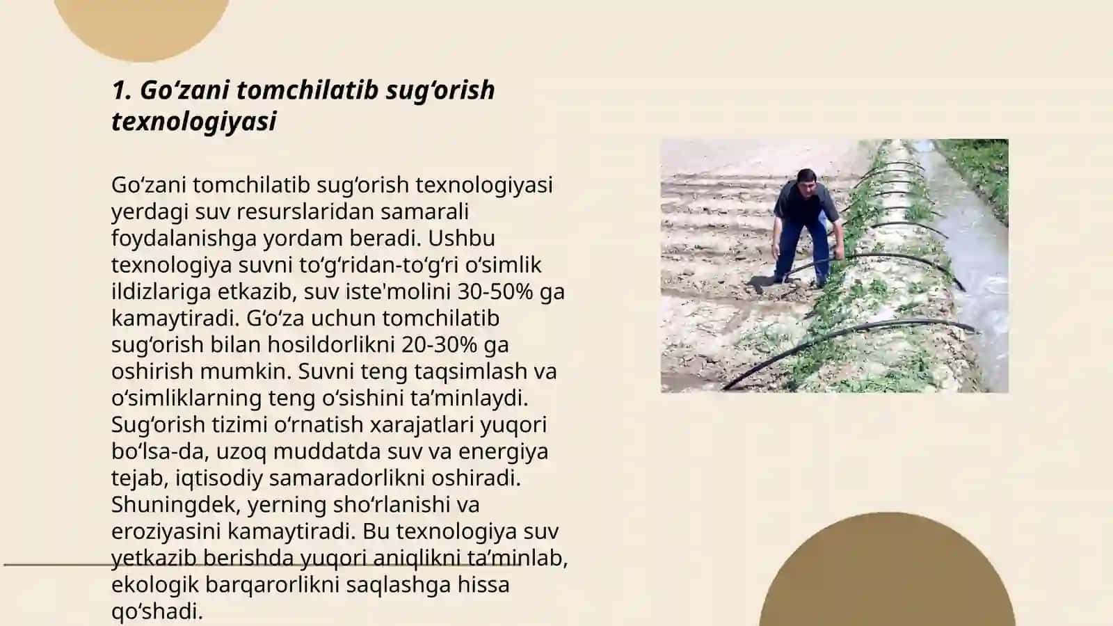 Go‘zani tomchilatib sug‘orish texnologiyasi 3
