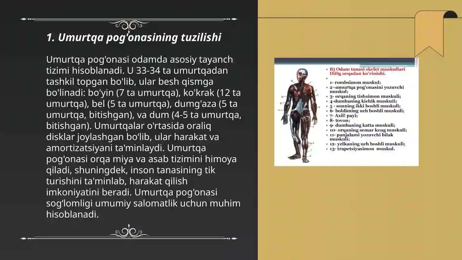 Tana yuzalari va o‘qlari umurtqa pog‘onasi 3