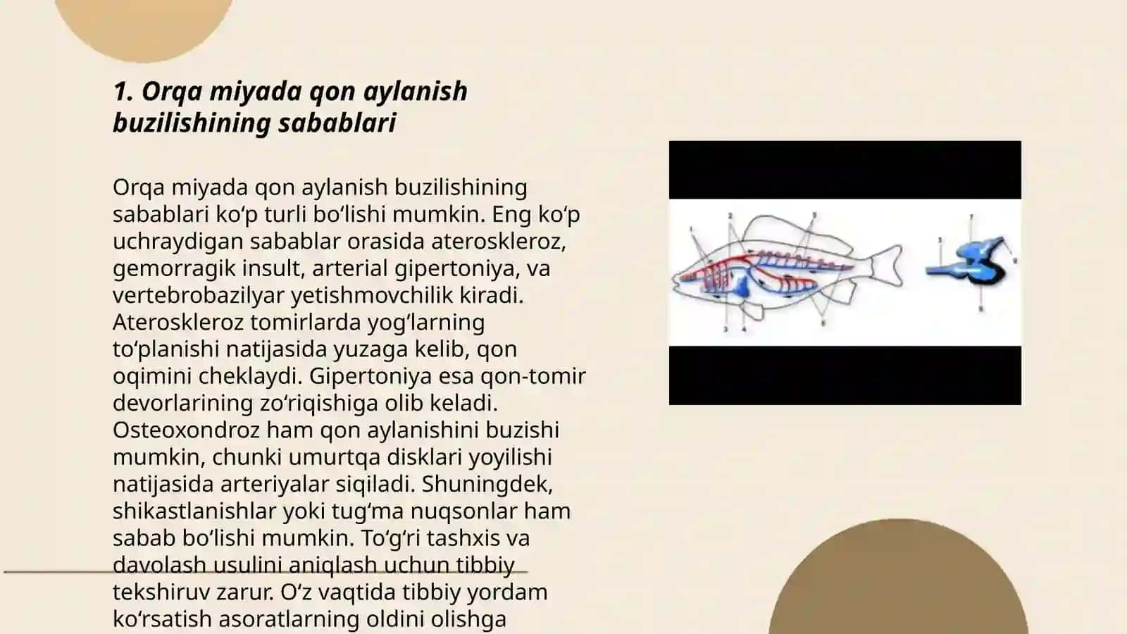 Orqa miyada qon aylanish buzilishi 3