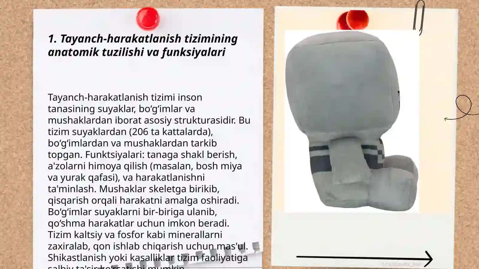Tayanch harakatlanish sistemasining yoshga oid xususiyatlari va gigeyenasi 3