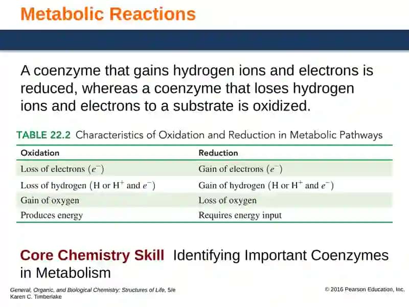 Coenzyme A (CoA) 3