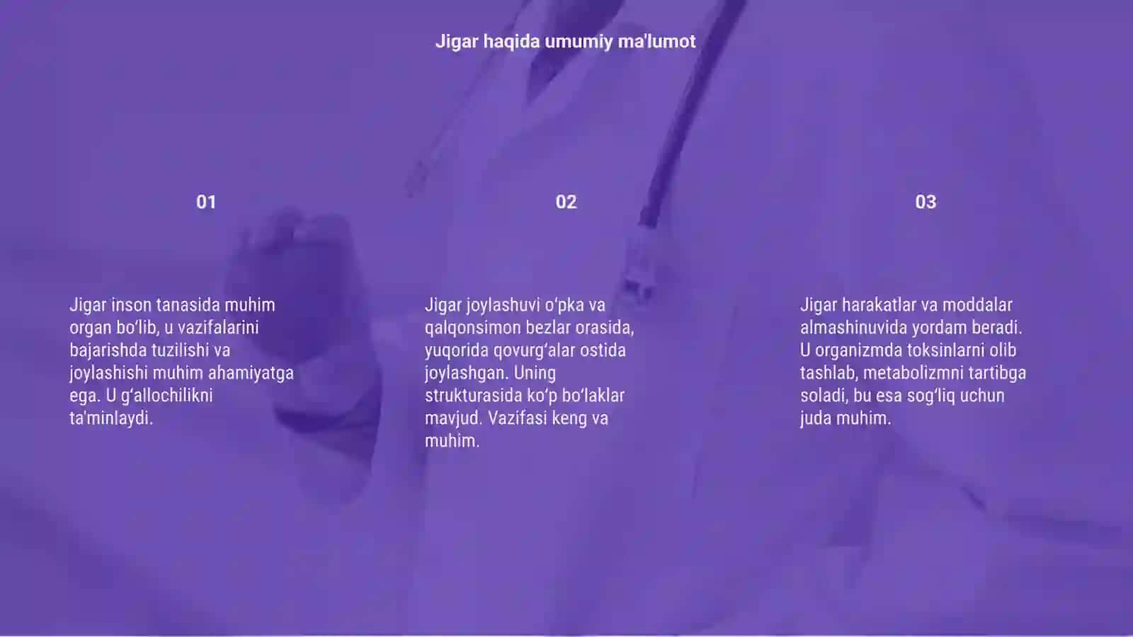 Jigar õt pufagi tuzilishi joylashishi vazifalari 3