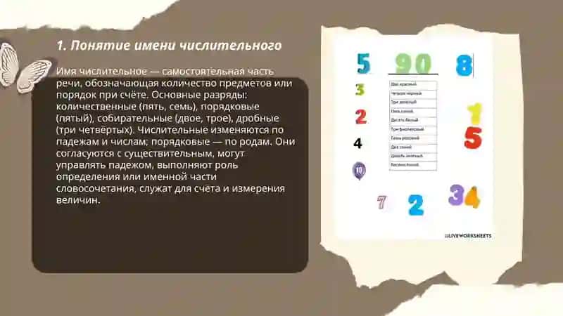 Имя числительное и его разряды 3