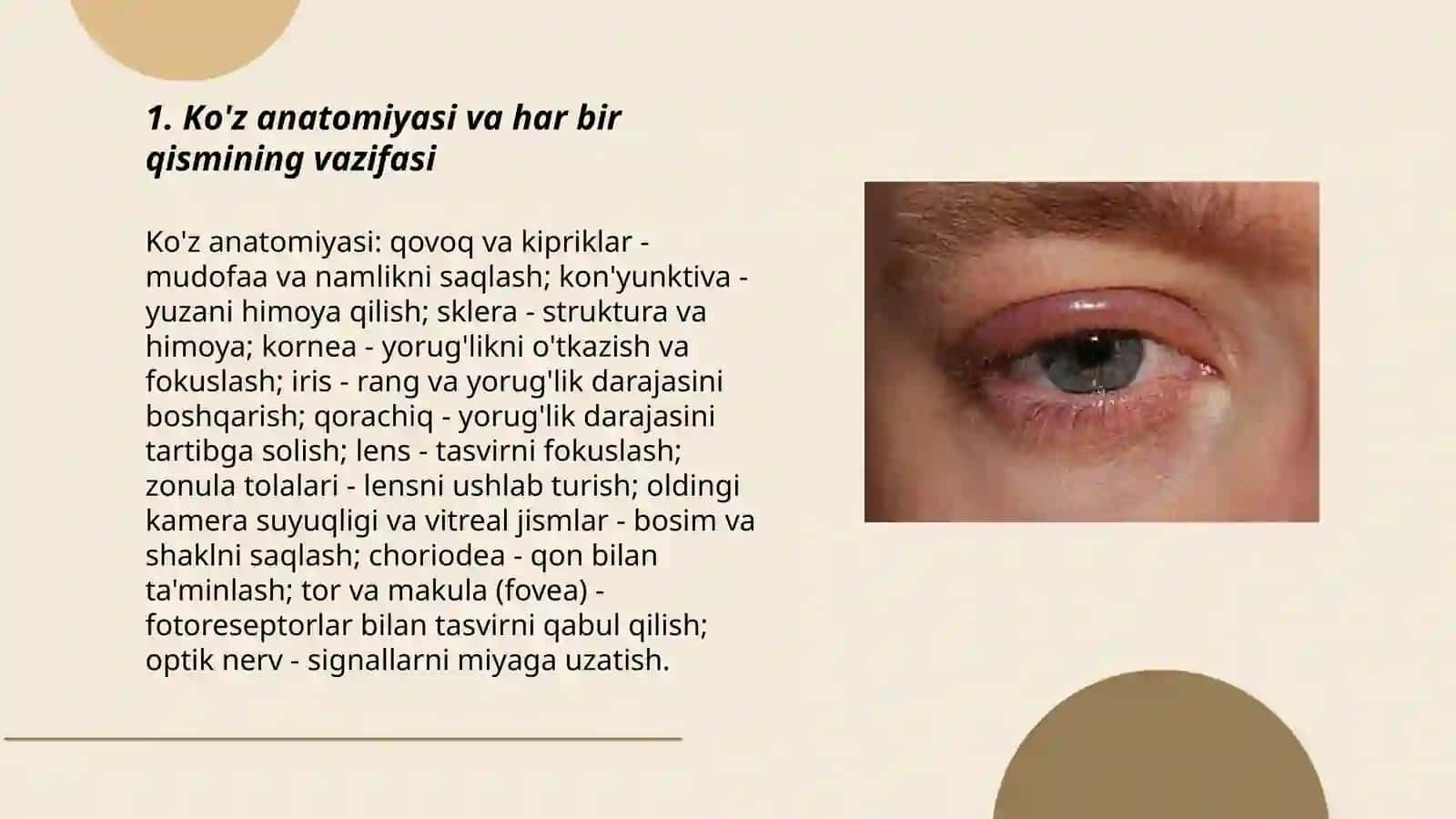 Korish organlarining vazifasi. Koʻrish qobiliyatini aniqlashning zamonaviy metodlari 3