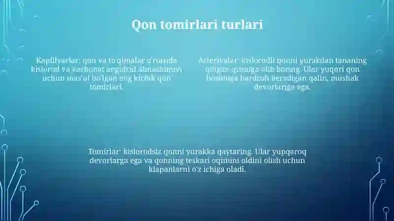 Yurak Va Qon Tomirlari Tuzilishi 3