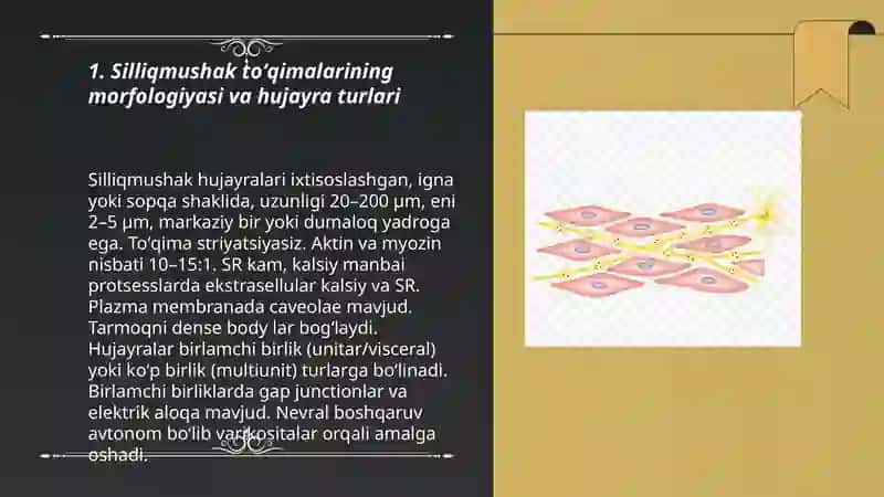 Silliqmushaklarning fiziologiyasi. Parabioz holati 3