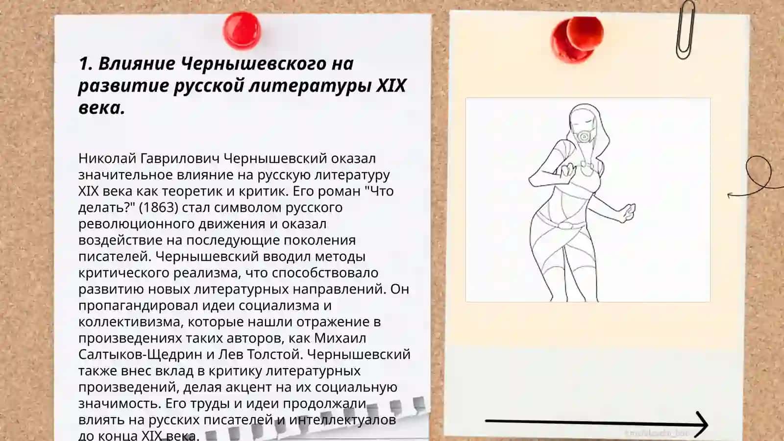 Критика русской литературы XIX в Н.Г. Чернышевский 3