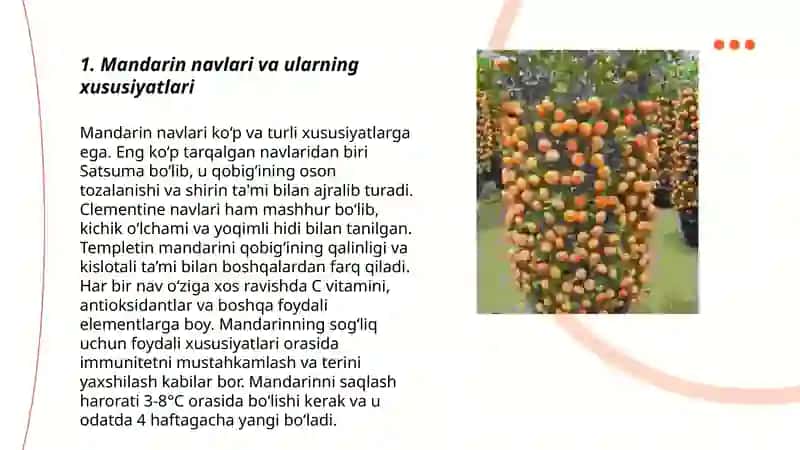 Mandarin yetishtirish texnologiyasi 3