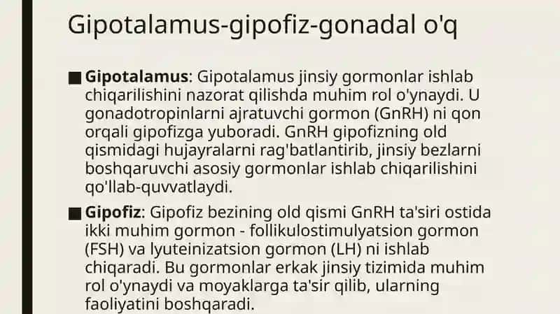 Erkak jinsiy siklining gormonal boshqaruv mexanizmlari 3