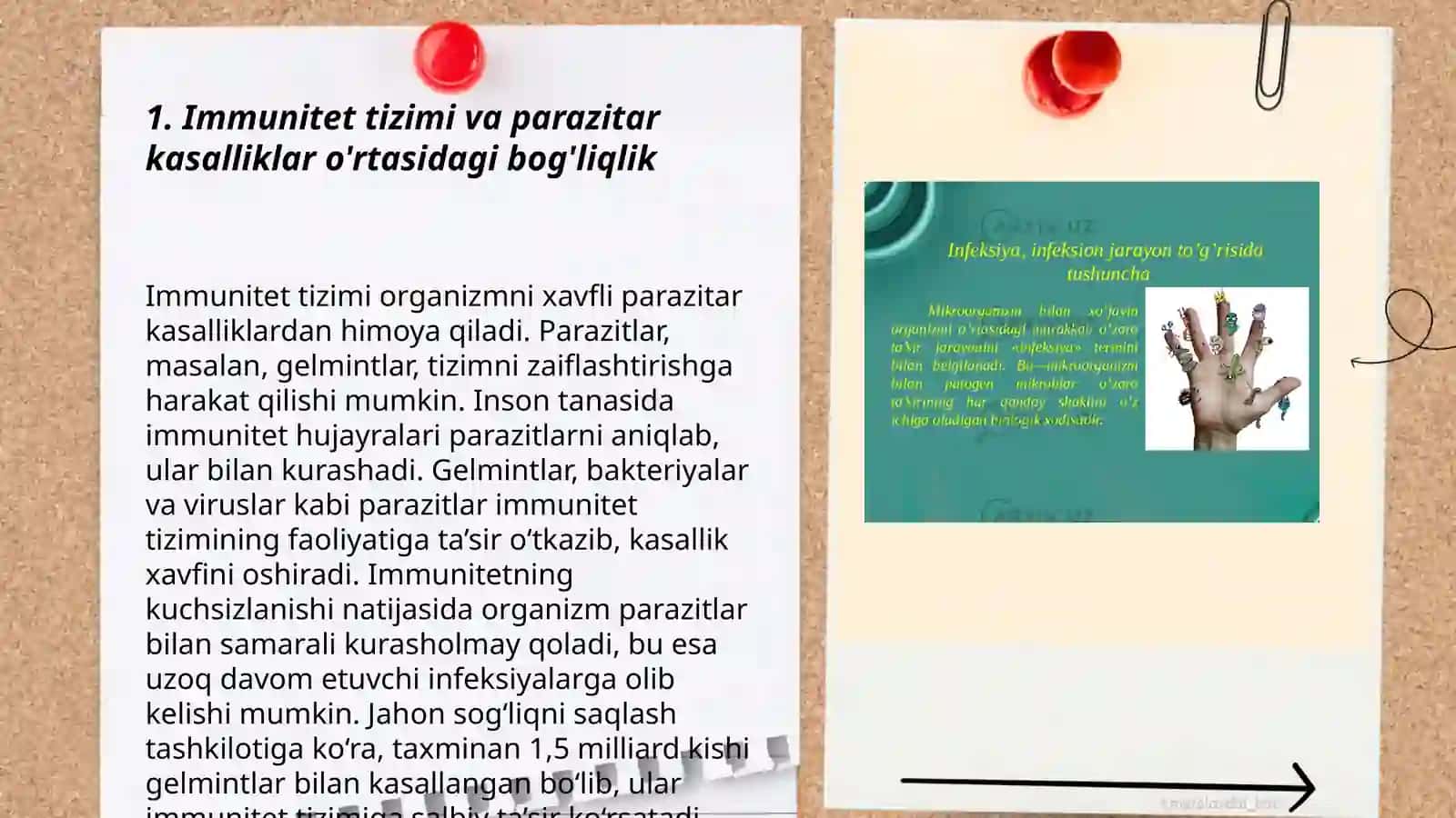 Bogʻliq zamburug'li va parazitar kasalliklar kelib chiqishi 3