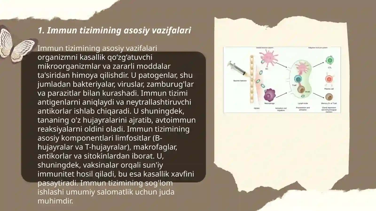Immun tizim hujayralari 3
