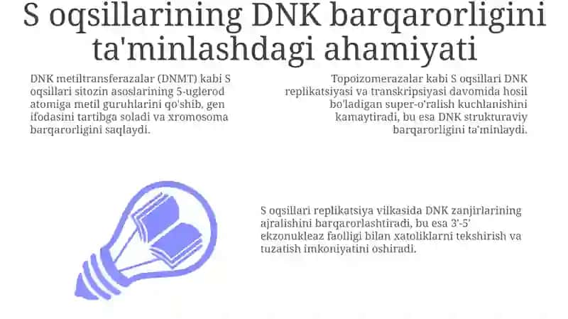 DNK molekulasining hosil bo'lishida Soqsillarning o'rni 3