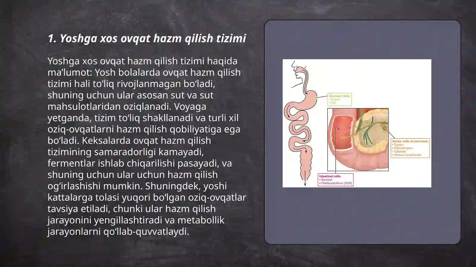 Yoshga xos ovqat hazm qilish tizimi 3