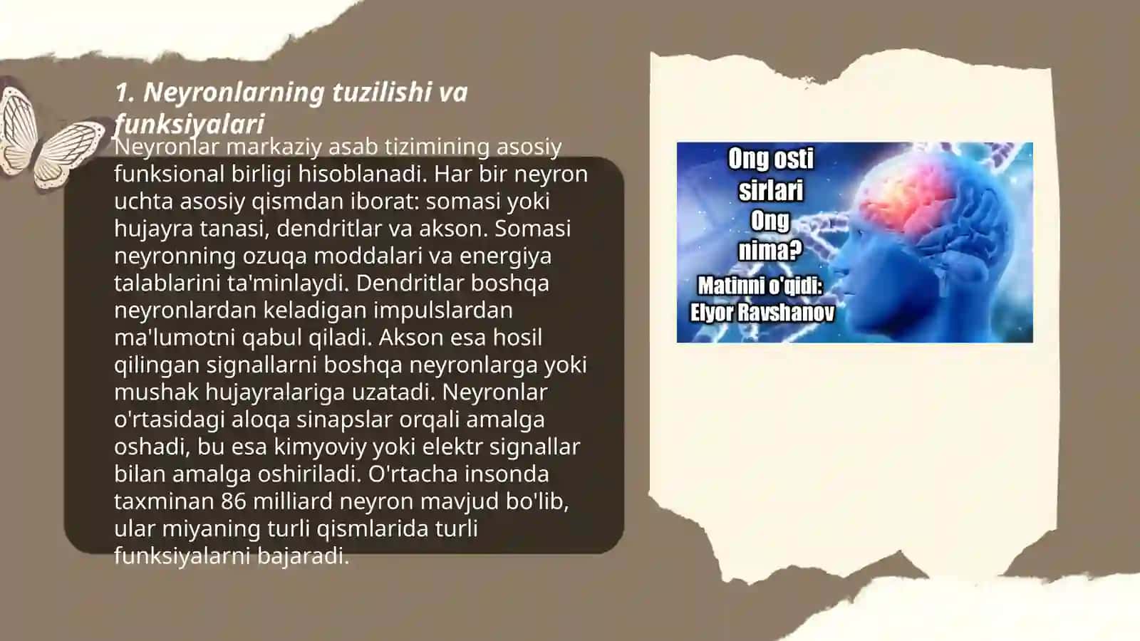 Psixikaning nerv-fiziologik asoslari 3