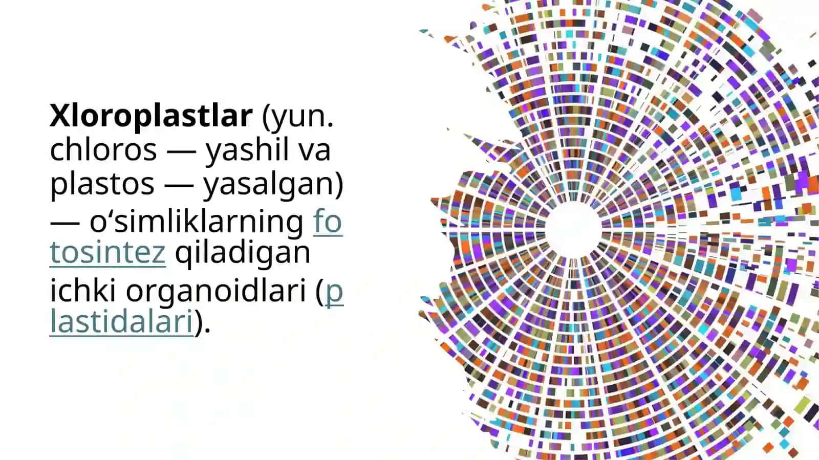 Xloroplastning xususiyatlari 3