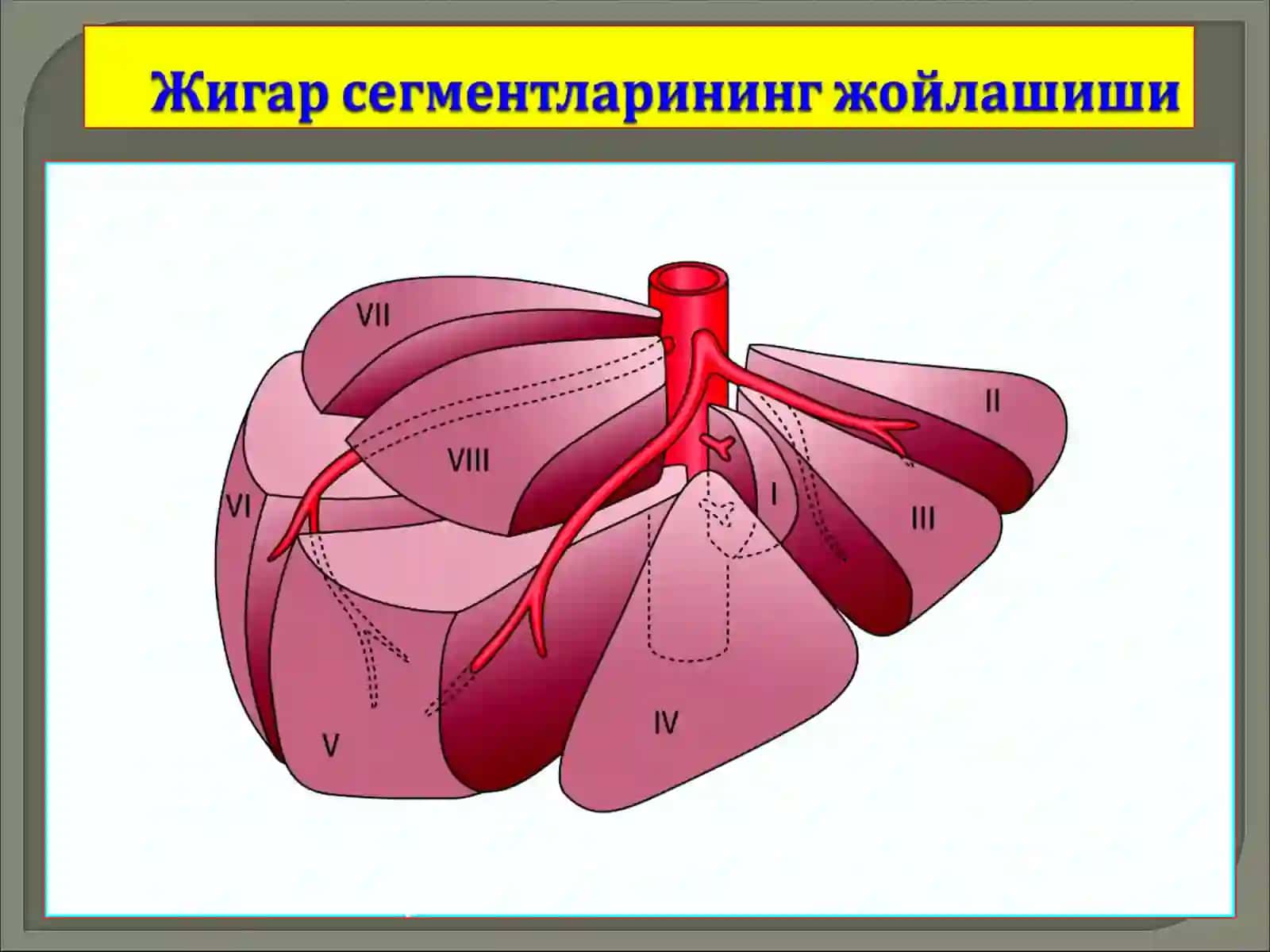 Жароҳатлар турига қараб 3
