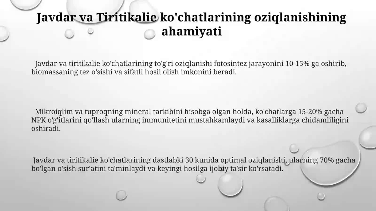 Javdar va Tiritikalie ko'chatlarining oziqlanishining ahamiyati 3