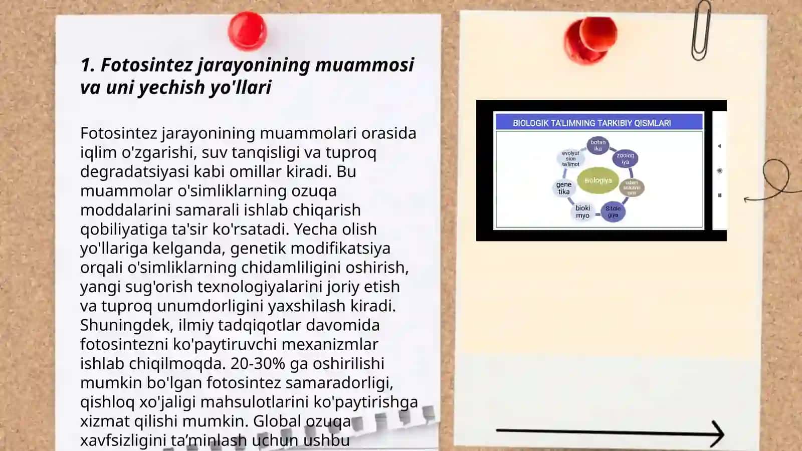 Fotosintez jarayonining muammosi va uni yechish yo'llari 3
