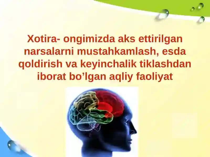 Xotira va faoliyat. Xotirani ekspremental o’rganish 3