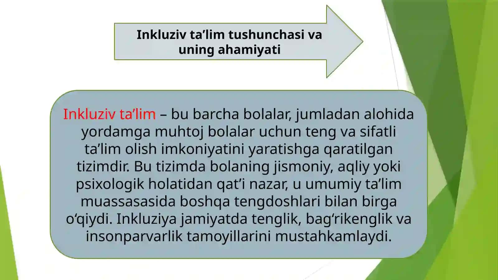 Alohida yordamga muhtoj bolani samarali inklyuziyasi uchun tashqi sharoitlar 3