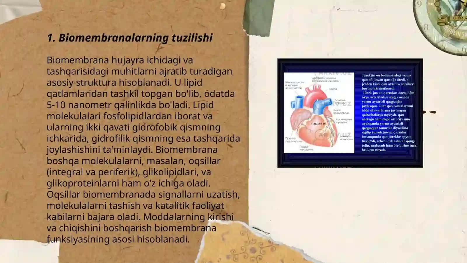 Biologik membranalarda ko‘chish 3