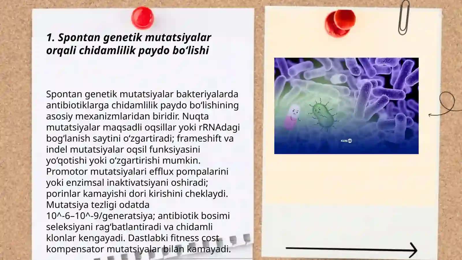 Bakteriyalarning antibiotiklarga chidamli shakillarini paydo boʻlish mexanizmlari 3