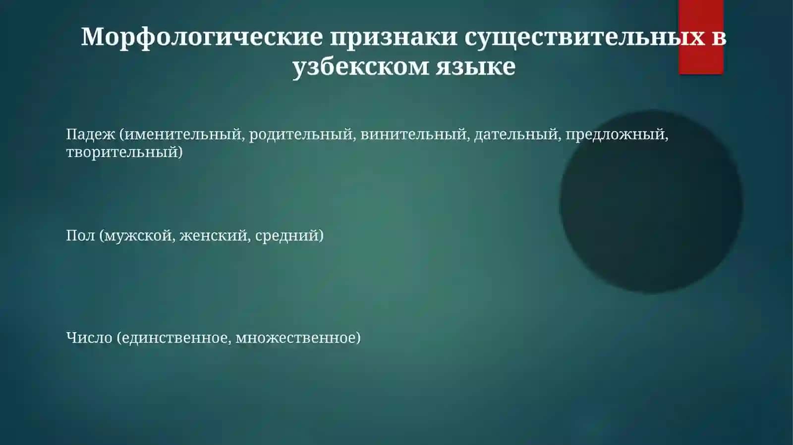 Морфология существительного в русском и узбекском языках 3