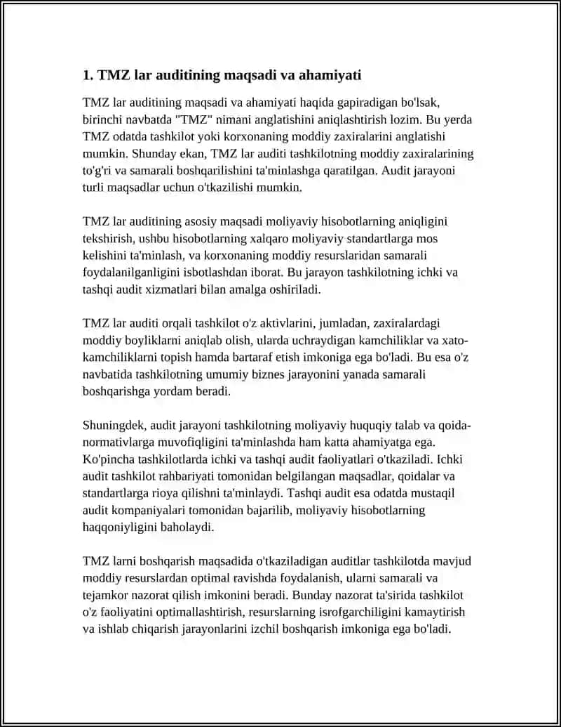 TMZ lar auditining maqsadi va ahamiyati 3