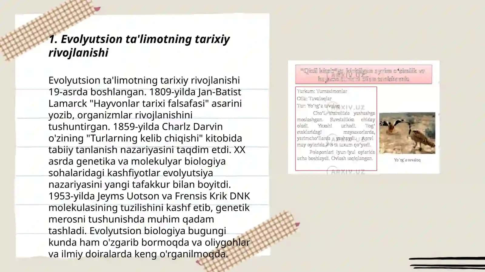 Evolyutsion ta'limot va tabiatni muhofaza qilish 3