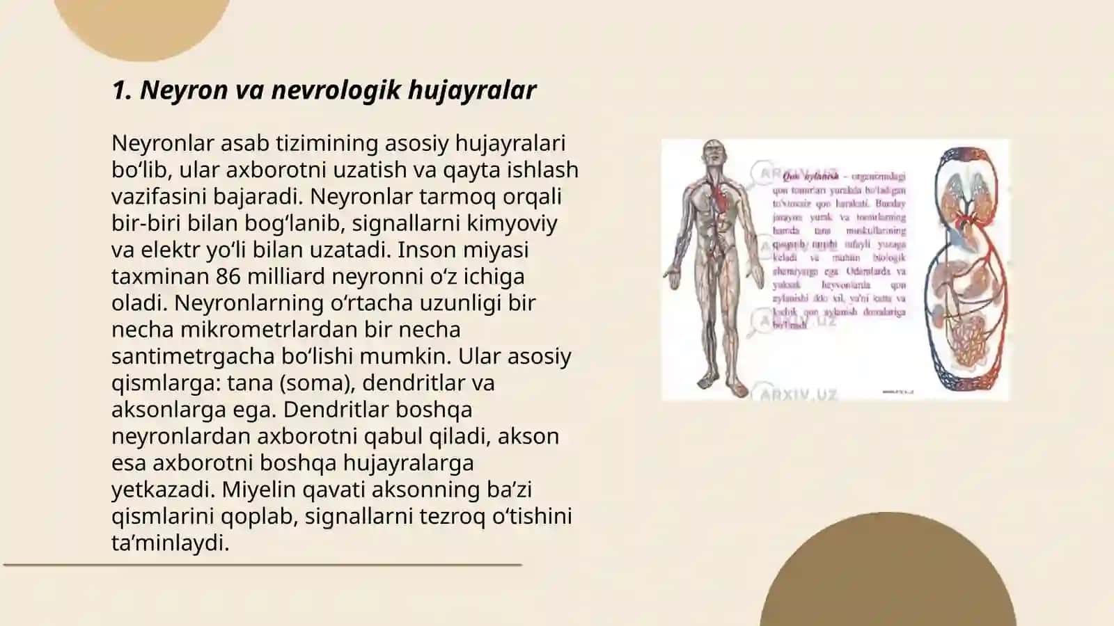 Neyrogliya hujayralari turlari va uning oqibatlari 3