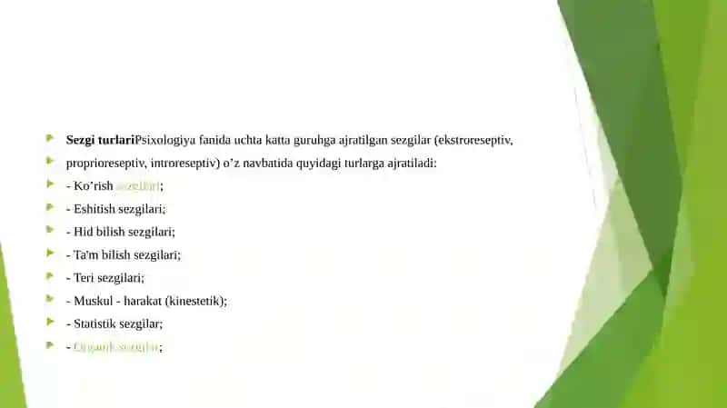 Sezgi turlari 3