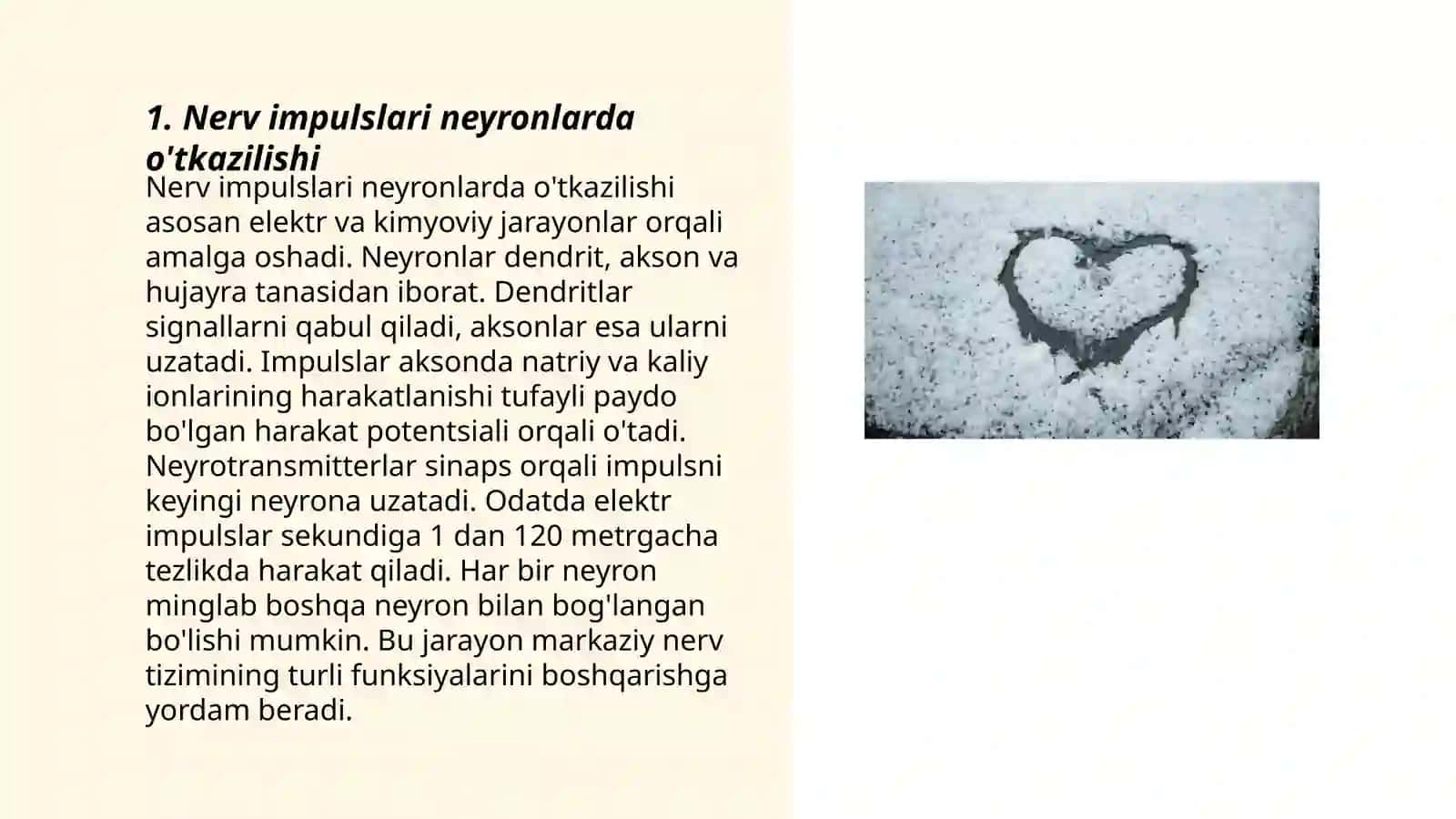 Nerv impulslari oʻtqazilishi va uning tarmoqlari.Sinoptik harakatlanish 3