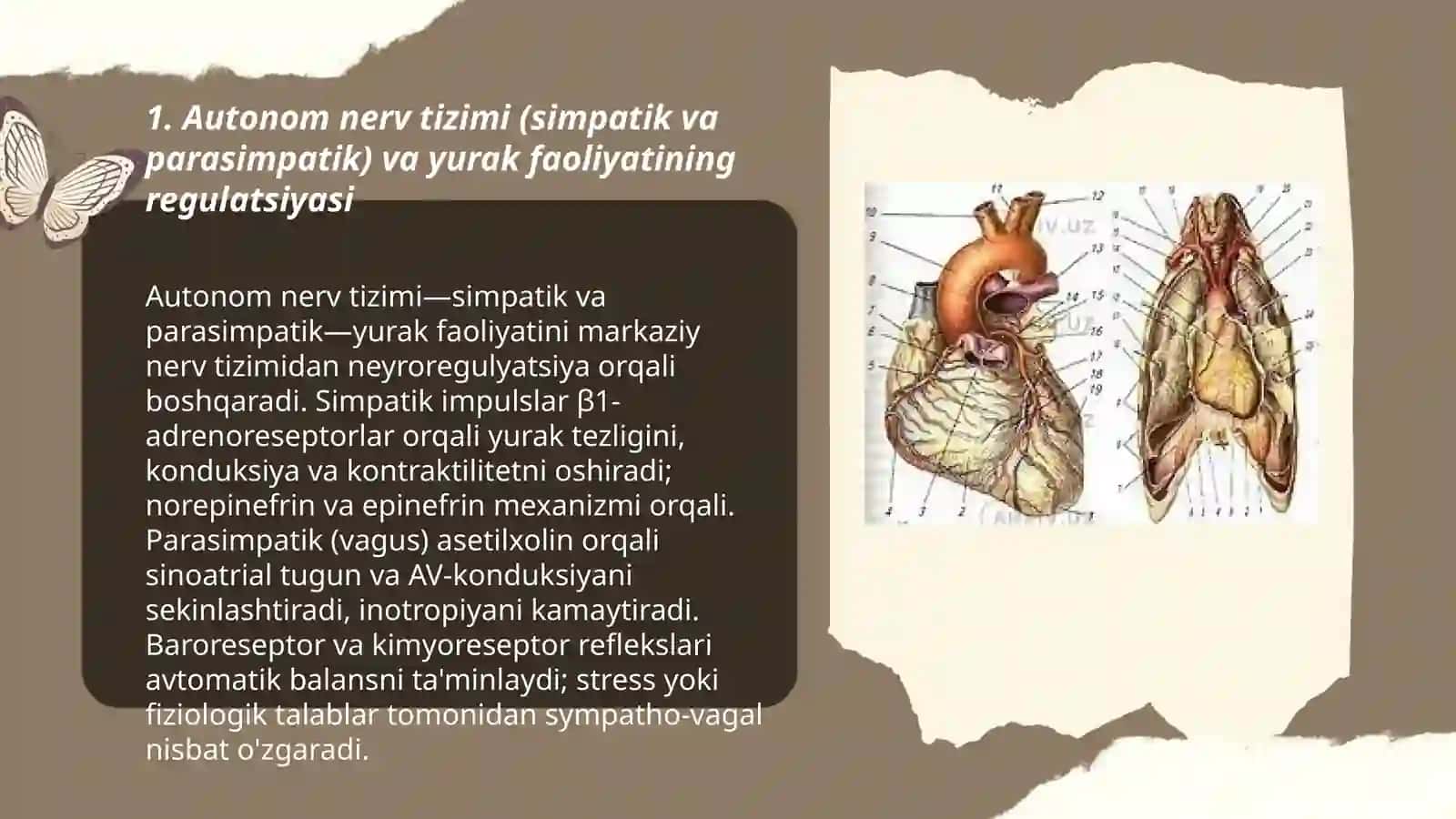 Yurak faoliyatining boshqarilishi.Mikrotsirkulatsiya 3