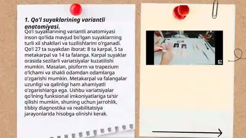 Qoʻl suyaklarining variantli anatomiyasi,rivojlanish nuqsonlari 3