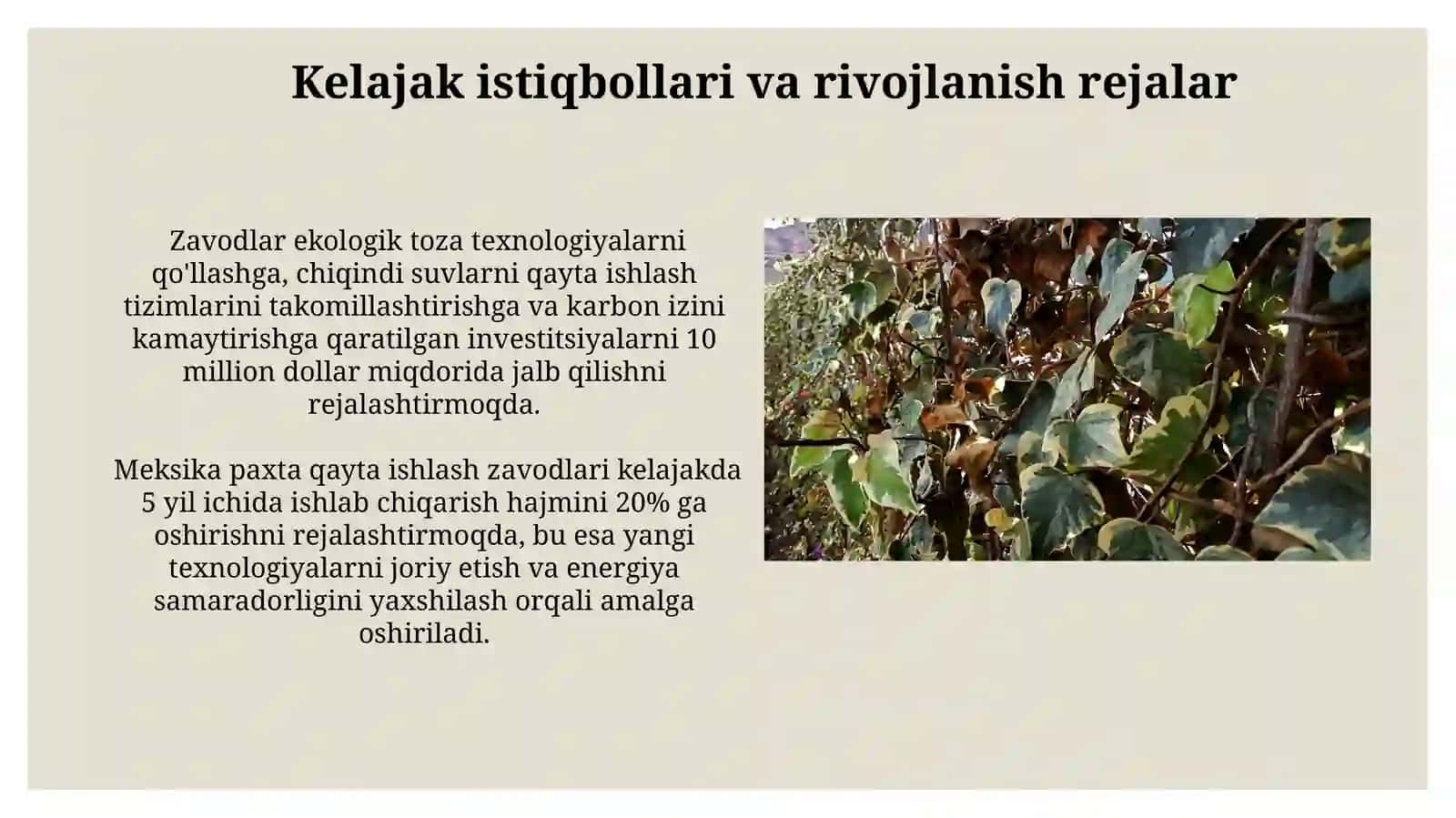 Meksika Paxta Qayta Ishlash Zavodlarining Texnologiyalari va Usullari 3