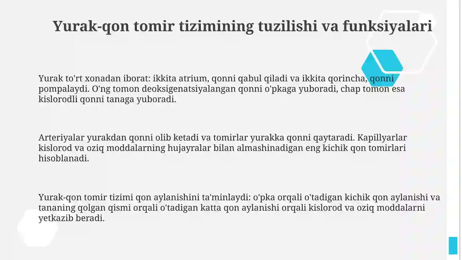 Yurak qon tomir sistemasi 3