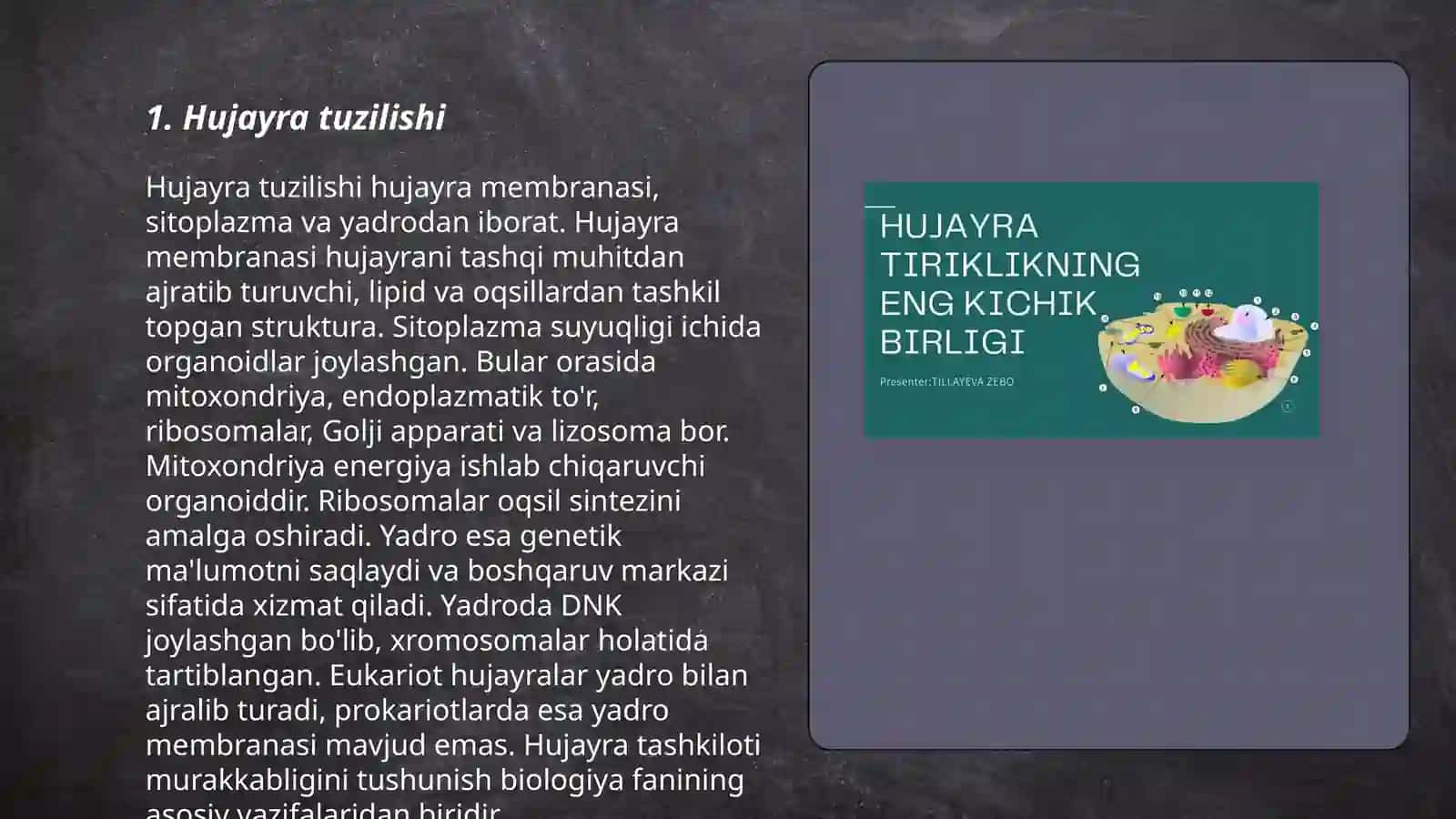 Hujayra tuzilishi 3