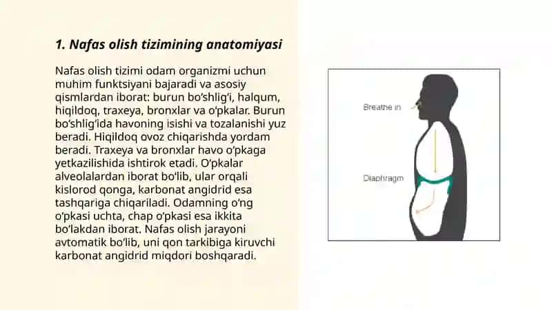 Nafas olish 3