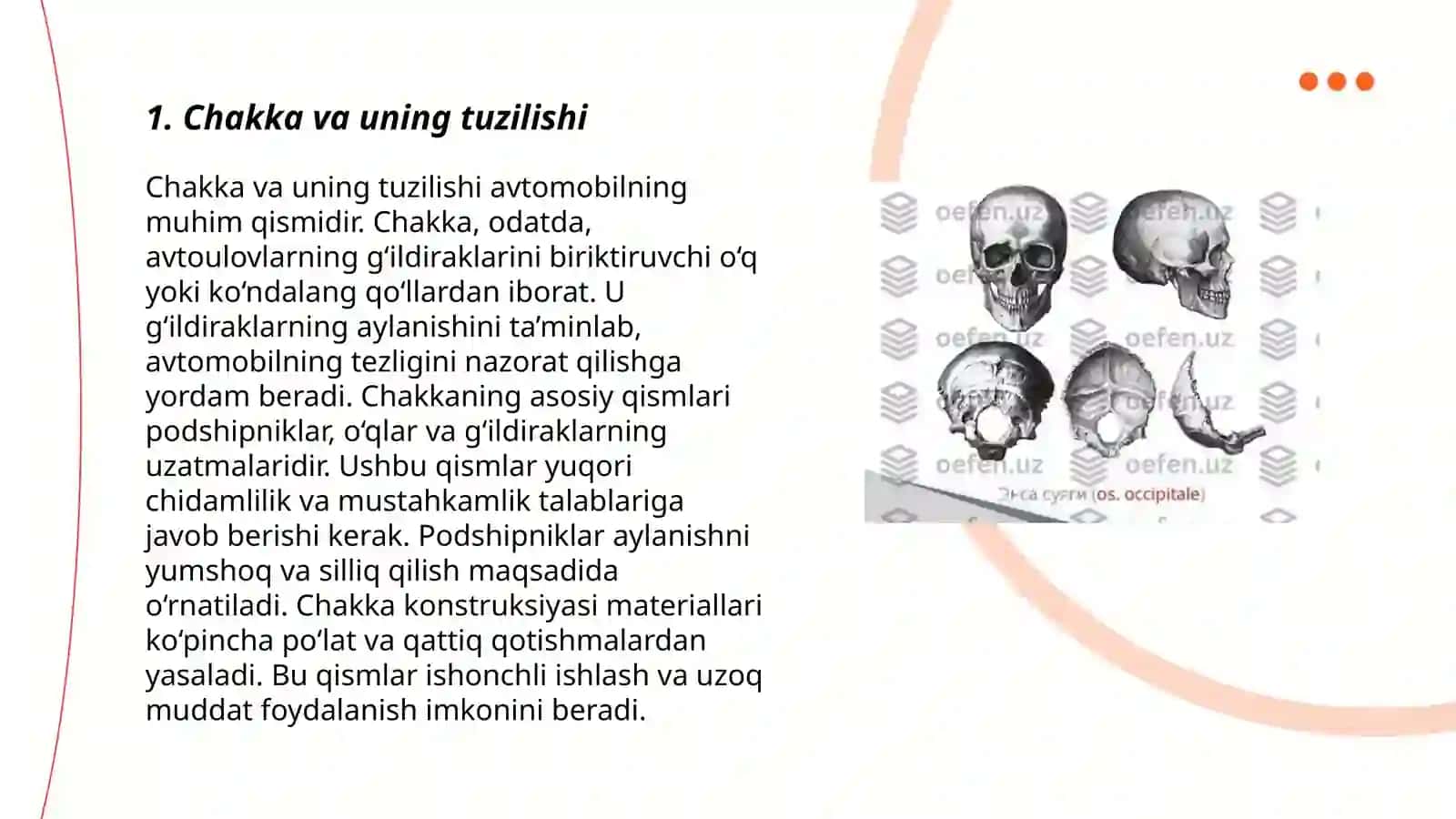 Chakka va uning tuzilishi 3