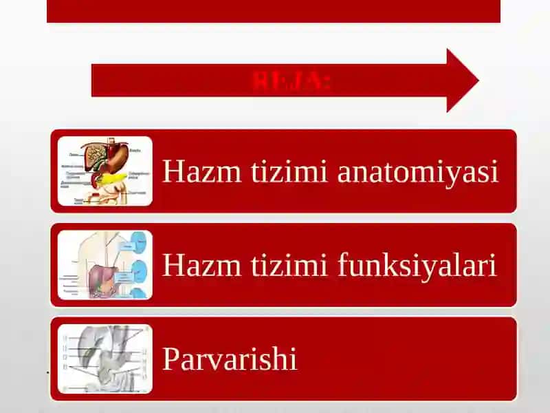 NamDUTibbiyotfakulteti Klinikfanlari kafedrasi Tibbiyot kasbi ga kirish 3